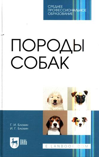 Превью