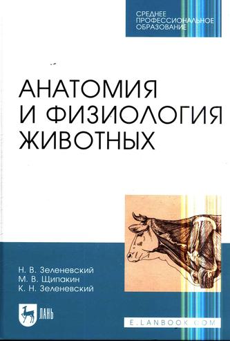 Превью