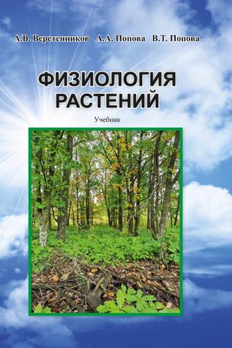 Превью