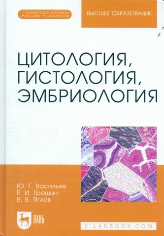 Превью