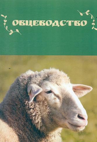 Превью
