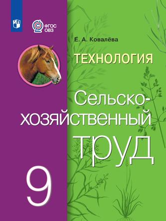 Превью
