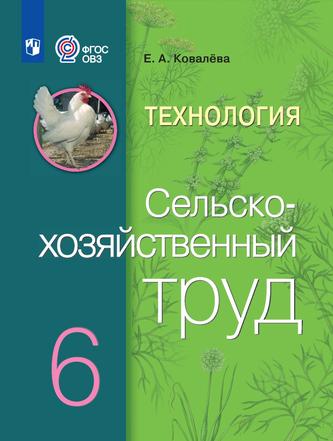 Превью