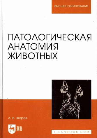 Превью