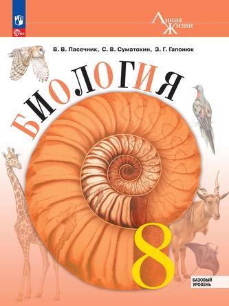 Превью