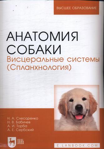 Превью
