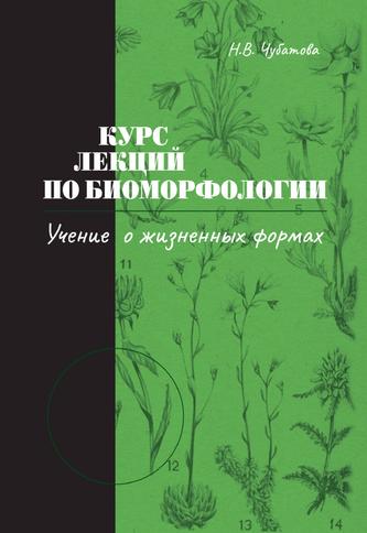 Превью