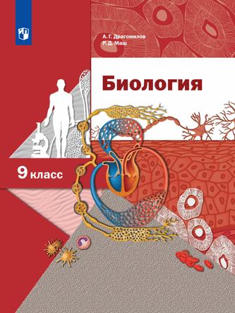 Превью