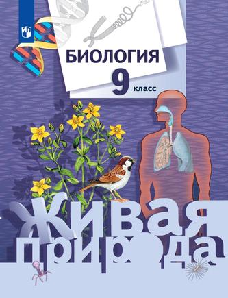 Превью