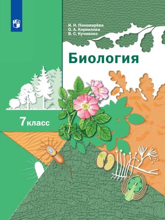 Превью