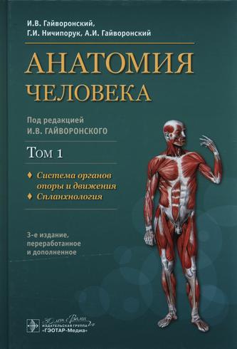 Превью