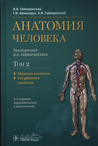 Превью