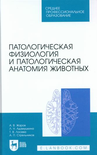 Превью