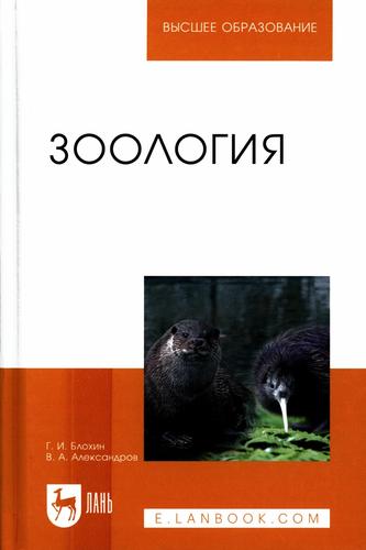Превью