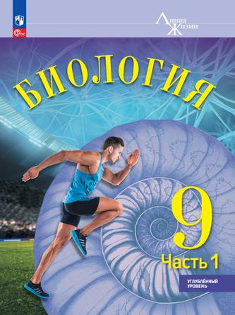 Превью