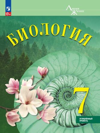 Превью
