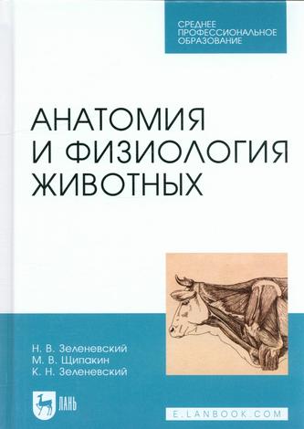 Превью