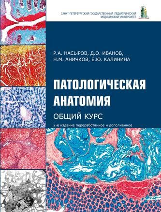 Превью