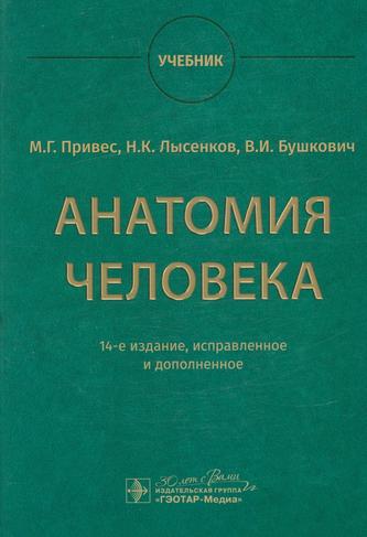 Превью