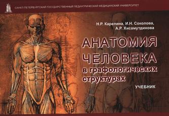 Превью