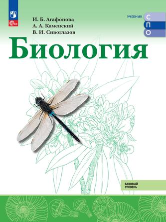 Превью