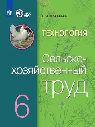 Превью