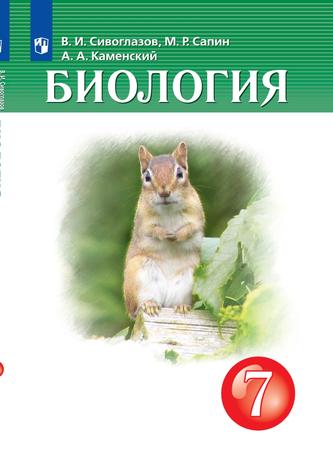 Превью