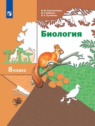 Превью