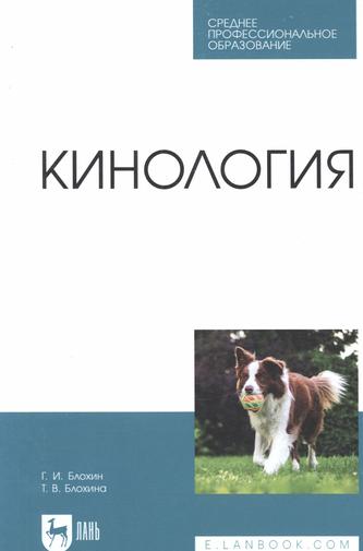 Превью