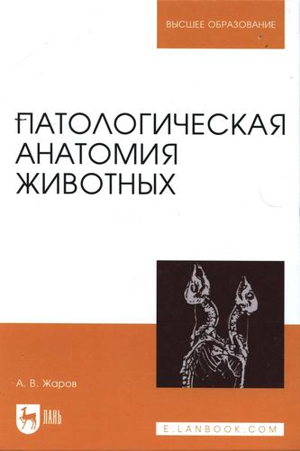 Превью