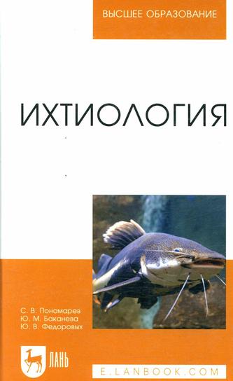 Превью