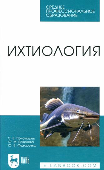 Превью