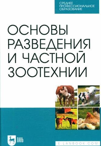 Превью