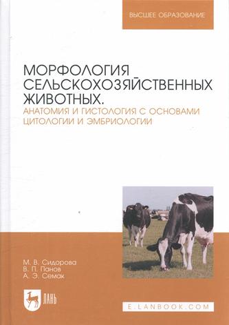 Превью