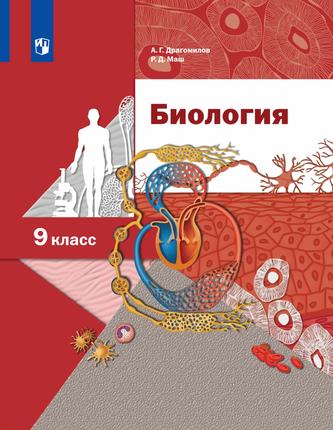 Превью