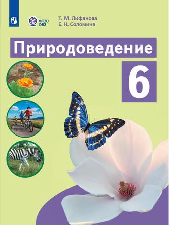 Превью